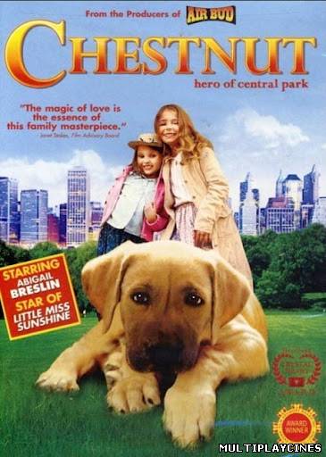 Ver Chestnut: El héroe de Central Park (2004) Online Gratis