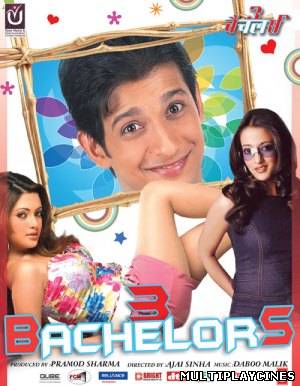 Ver 3 Bachelors (2012) Online Gratis