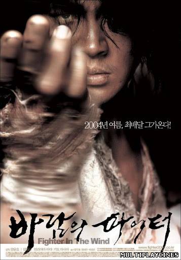 Ver Baramui Fighter (Fighter in the Wind) (2004) Online Gratis