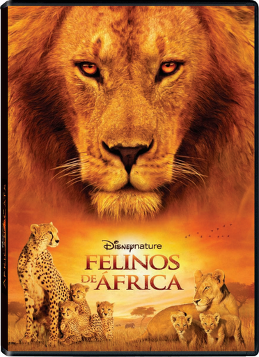 Ver Grandes felinos africanos: el reino del coraje (2011) Online Gratis