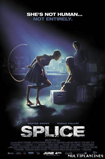 Ver Splice: Experimento mortal (2010) Online Gratis