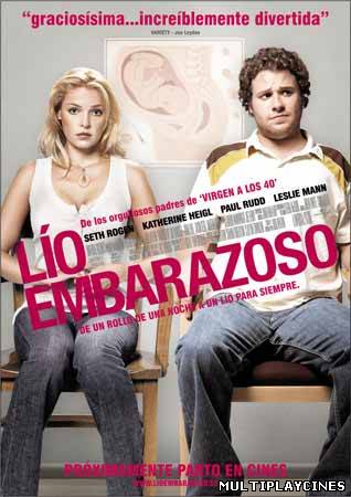 Ver Ligeramente Embarazada / Lío Embarazoso  (Knocked Up) (2007) Online Gratis