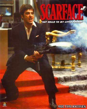 Ver Cara Cortada (El precio del poder) (Scarface) (1983) Online Gratis