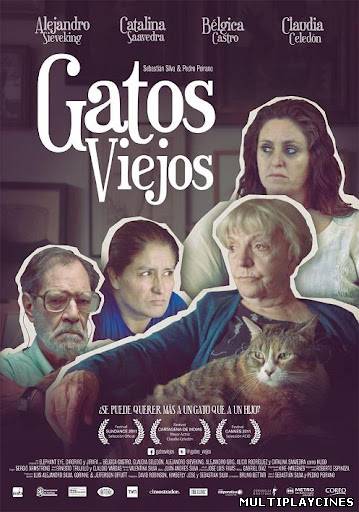 Ver Gatos Viejos (2011) Online Gratis