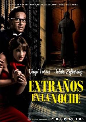 Ver Extraños en la noche (2011) Online Gratis