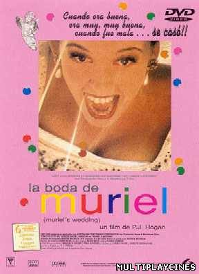 Ver La boda de Muriel (1994) Online Gratis