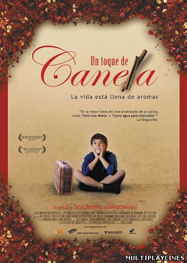 Ver Un toque de canela (Politiki kouzina (A Touch of Spice)(2003) Online Gratis