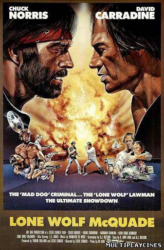 Ver McQuade, lobo solitario (Lone Wolf McQuade) (1983) Online Gratis