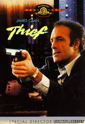 Ver Ladrón (1981) Online Gratis