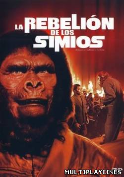 Ver El Planeta de los Simios 4: La rebelión de los simios (1972) Online Gratis