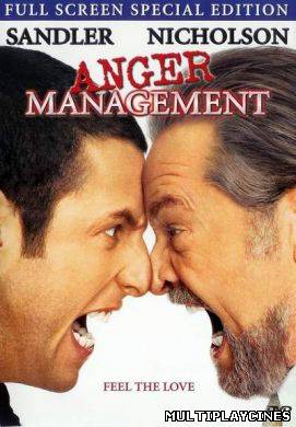 Ver Locos de Ira / Ejecutivo agresivo (Anger Management) (2003) Online Gratis