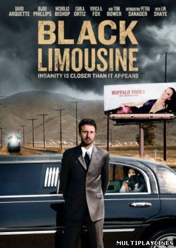 Ver The Land of the Astronauts (Black Limousine) (2010) Online Gratis