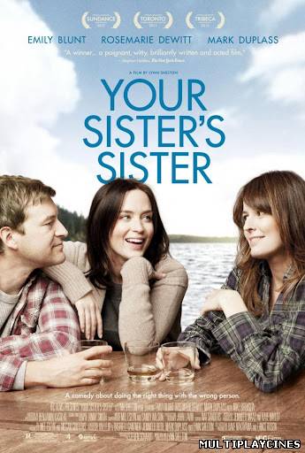 Ver El amigo de mi hermana (Your Sister’s Sister) (2011) Online Gratis