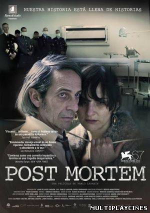 Ver Post mortem (2011) Online Gratis