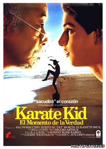 Ver Karate Kid, el momento de la verdad (The Karate Kid) (1984) Online Gratis