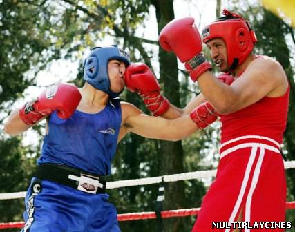 Ver Combates de boxeo (1974-2012) Online Gratis