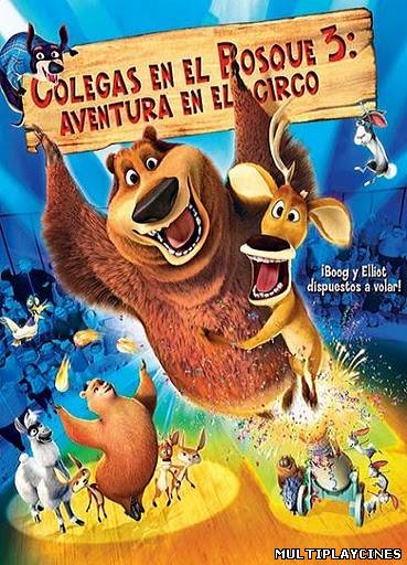 Ver Colegas en el bosque 3 (2010) Online Gratis