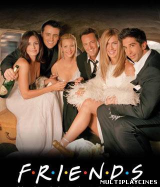 Ver Friends (Serie de TV) (1994) [Temporada 1] Online Gratis