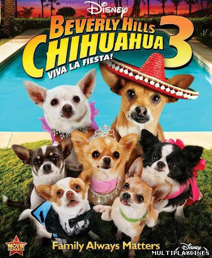 Ver Beverly Hills Chihuahua 3: Viva La Fiesta! (2012) Online Gratis