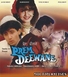 Ver Prem Deewane Online Gratis