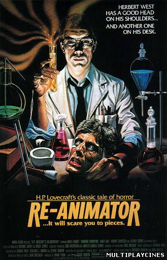 Ver Re-Animator (1985) Online Gratis