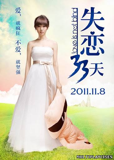 Ver Shi Lian 33 Tian (Love Is Not Blind) (2011) Online Gratis
