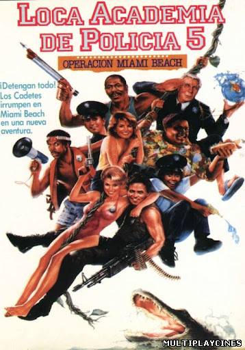 Ver Loca academia de policía 5: Operación Miami Beach (1988) Online Gratis