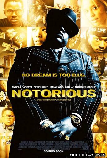 Ver Notorious (2009) Online Gratis
