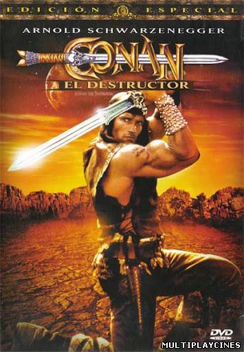 Ver Conan, el destructor (1984) Online Gratis