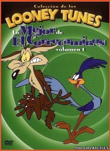 Ver Lo mejor Del Correcaminos (2011) Online Gratis