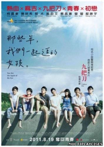 Ver You Are the Apple of My Eye (Na xie nian, wo men yi qi zhui de nu hai) (2011) Online Gratis
