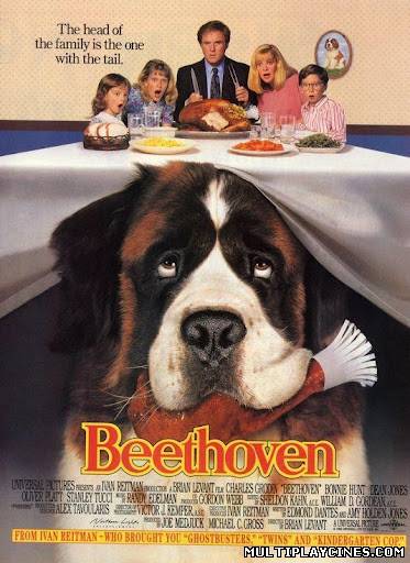 Ver Beethoven, uno más de la familia (1992) Online Gratis