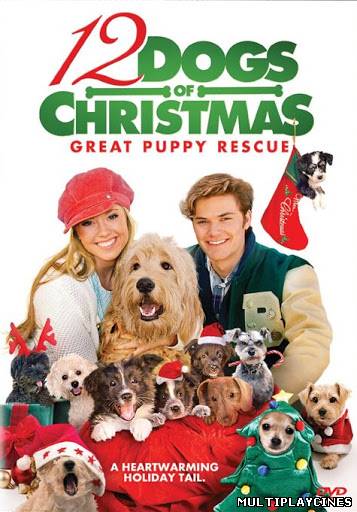 Ver 12 Dogs of Christmas: Great Puppy Rescue (2012) Online Gratis