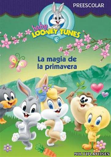 Ver Baby Looney Tunes - La Magia de la Primavera Online Gratis