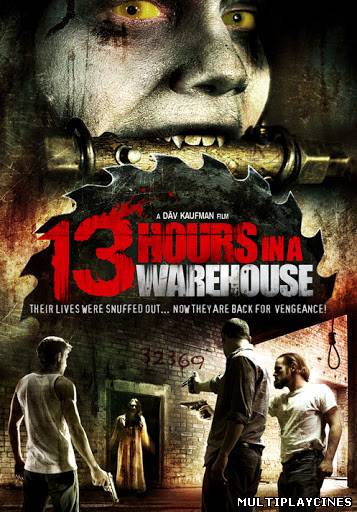 Ver 13 Hours in a Warehouse (2008) Online Gratis