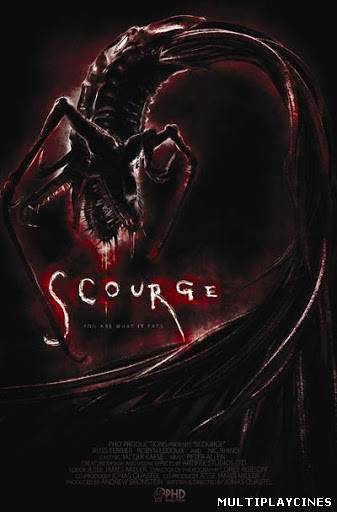 Ver Scourge (2008) Online Gratis