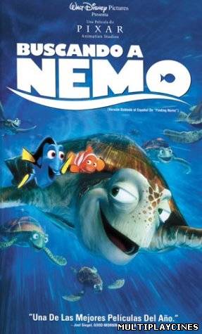 Ver Buscando a Nemo / Finding Nemo (2003) Online Gratis