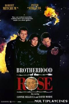 Ver La Hermandad de la Rosa II (1989) Online Gratis