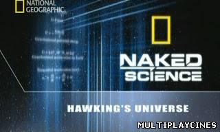 Ver Ciencia al desnudo: La fuerza del sol (2007) Online Gratis