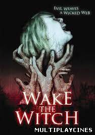 Ver Wake the Witch (2010) online Online Gratis