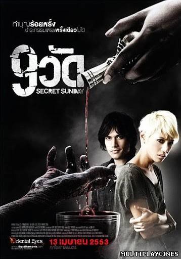 Ver 9 Wat (9 Temples) (Secret Sunday) (2010) Online Gratis