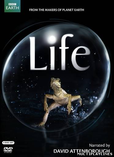 Ver Life BBC (2009) Online Gratis