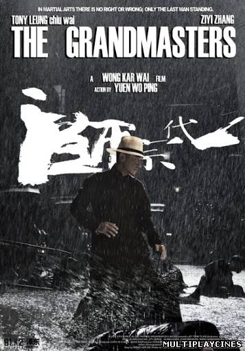 Ver The Grandmaster (一代宗师 / Yut Doi Jung Si) (2013) Online Gratis