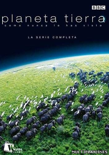 Ver Planeta Tierra (2006) Online Gratis
