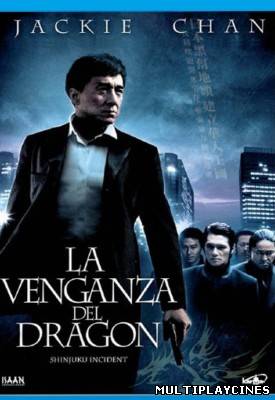Ver La venganza del dragón (San suk si gin (Shinjuku Incident)) (2009) Online Gratis