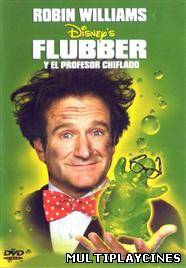 Ver Flubber y el profesor chiflado (1997) Online Gratis