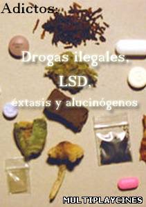 Ver Adictos: Drogas ilegales, LSD, éxtasis y alucinógenos (2000) Online Gratis