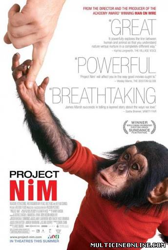 Ver Proyecto Nim (Project Nim) (2011) Online Gratis