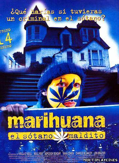 Ver Marihuana, el sótano maldito (1999) Online Gratis