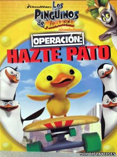 Ver Los pinguinos de Madagascar: Operación hazte pato (2012) Online Gratis